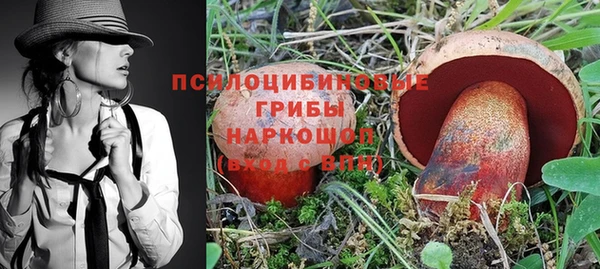 кокс Арсеньев