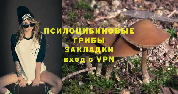 кокс Арсеньев