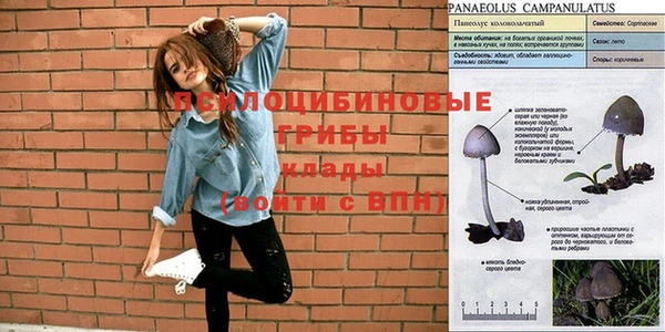 а пвп мука Дмитровск